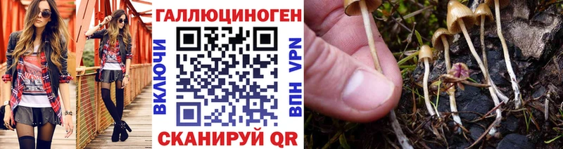 Купить  Губкинский  Галлюциногенные грибы мицелий 